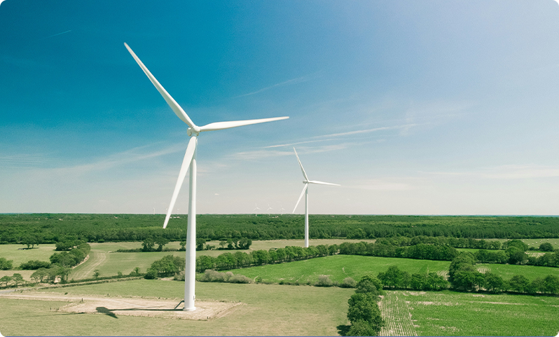 New Energy  Industry